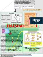 Cartel Biologia Reproduccion Sexual y Asexual Autor Samuel Lujano