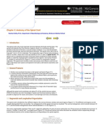 Chapter 3: Anatomy of The Spinal Cord: Nachum Dafny, Ph.D. Department of Neurobiology and Anatomy Mcgovern Medical School