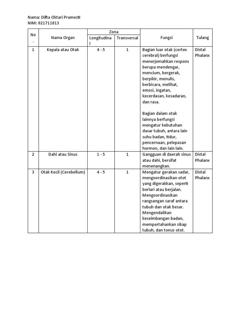 Fungsi Organ dan Zona dalam Tubuh Manusia | PDF