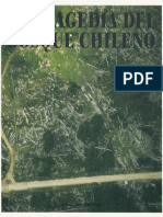La Tragedia Del Bosque Chileno PDF