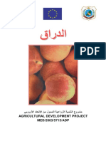 Peach2 PDF