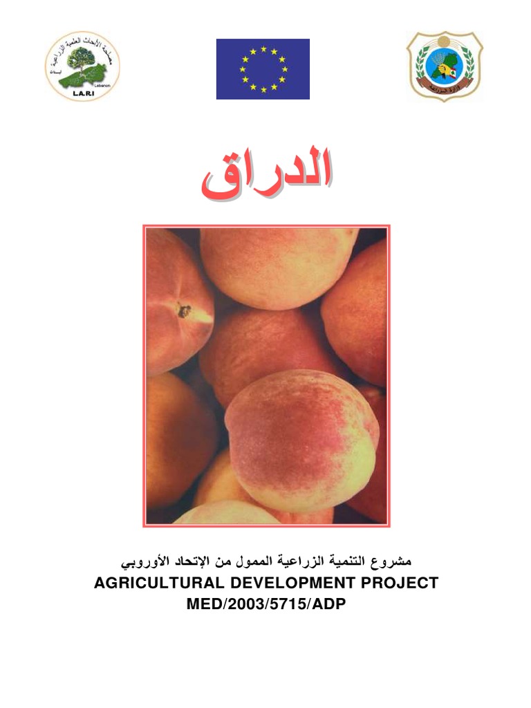 Peach2 PDF | PDF