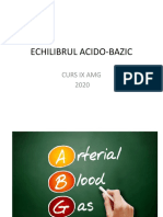 Curs Ix Amg 2020 - Echilibrul Acido-Bazic