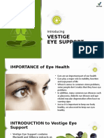 Eye Support Launch Ppt