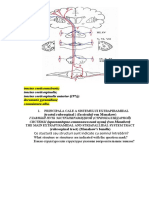 Imagini Pentru Examen Sem - II