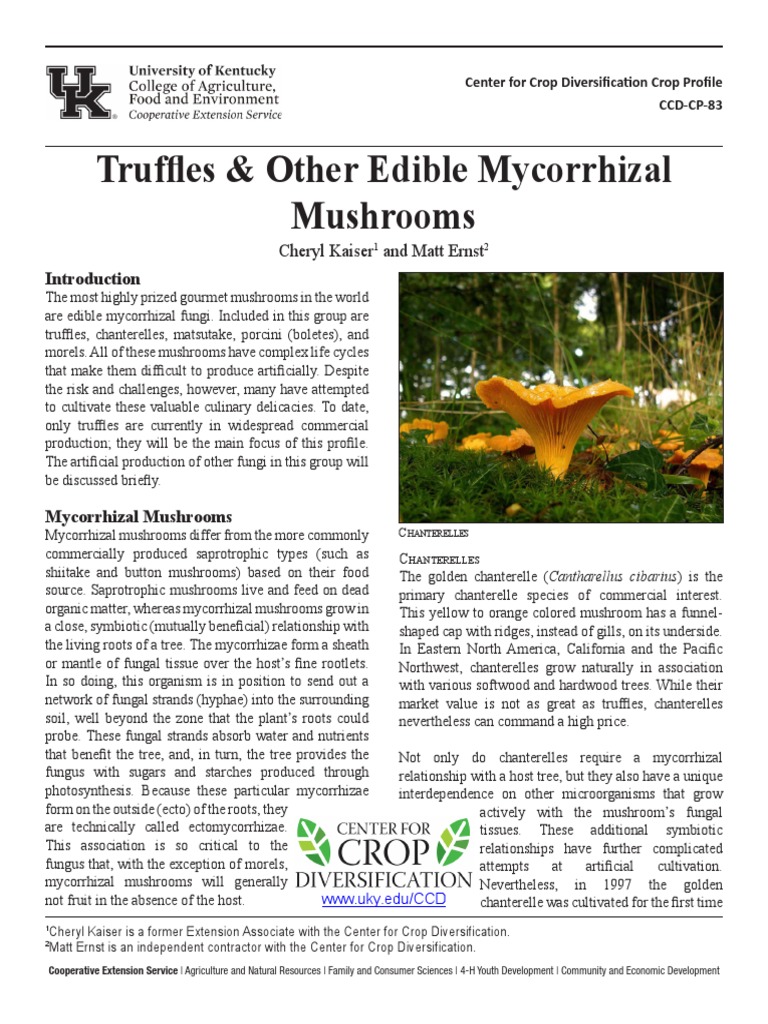 Truffles Truffles & Other Edible Mycorrhizal Mushrooms PDF PDF
