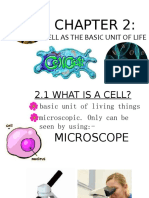 Cell As The Basic Unit of Life