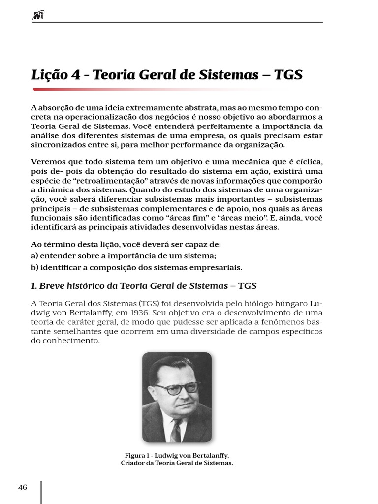 Teoria Geral de Sistemas na Administração | PDF | Teoria dos Sistemas ...