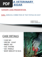 Halsted's Principles of Surgery Explained | PDF