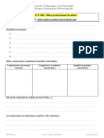 Fiche N°10d - Bilan Pro Du Métier