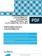 Enfermedades Lisosomales, Autofagia, Fagocitosis, SX