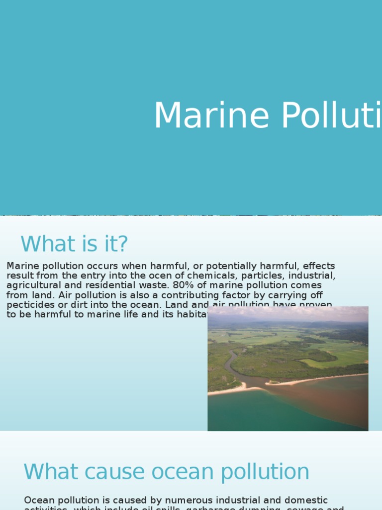 Causes and Solutions for Marine Pollution | PDF | Surface Runoff ...