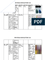 Pruebas bioquímicas para identificación microbiológica