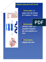 Struttura Proteine2015 Seconda Parte PDF
