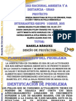 diseodeproyectosfinalpparasubir-131213140951-phpapp02