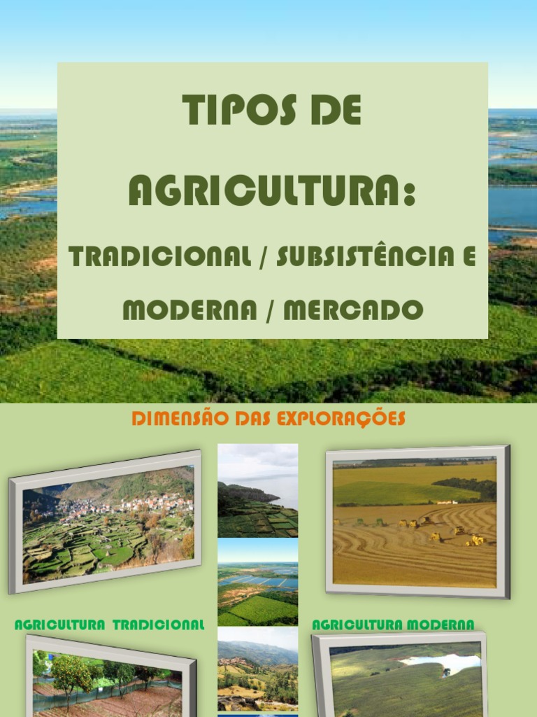 Tipos De Agricultura:: Tradicional / Subsistência E Moderna / Mercado ...