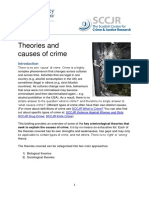 theories and causes of crime.pdf