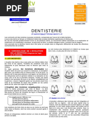 Dentisterie Dent Mouton