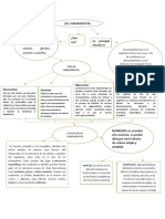 CARBOHIDRATOS Mapa