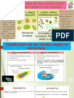 DIAPOSITIVAS CELULAS GRADO TERCERO