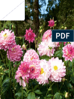 types-of-flowers-1579719085.pdf