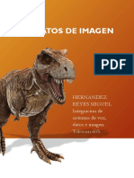 Formatos de Imagen PDF