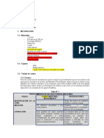 BRIGADA CON METODOLOGIA_FERNANDO