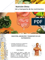 03._Absorciyyn_de_nutrientes.pdf