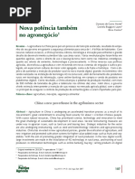 China-nova-potencia-tambem-no-agronegocio.pdf