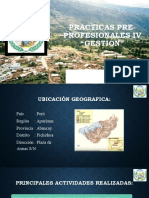 Diapositivas Practicas Pre-Profesionales Iv (Pichirhua)