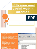 publicarea pgginii web