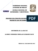 143351206-PAE-PIE-DIABETICO-docx.docx