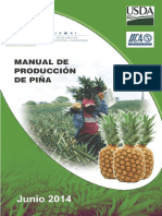 Producción Piña