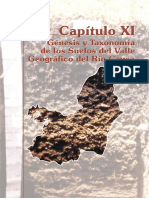 Capitulo Xi