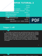 Presentation1.pptx