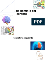 Áreas de Dominio Del Cerebro (