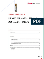 CARGAS FISICAS Y MENTALES.pdf