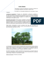 Ficha Tecnica Proyecto Forestal-Piura
