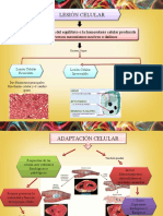 Diapositivas Chrislian Guzman Lesion Celular y Adpatacion Celular