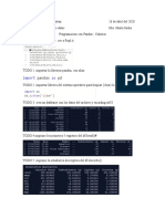 A01197315_Pandas_Screenshots.docx