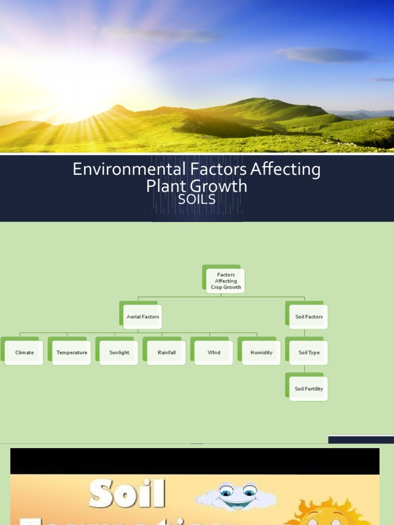 Factors Influencing Plant Growth | PDF | Weathering | Soil
