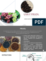 Uva y Frijol.pdf