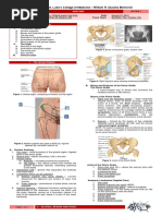 Understanding SIJ: Form and Force Closure | PDF | Pelvis | Vertebral Column
