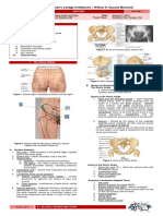 St. Luke's College of Medicine - William H. Quasha Memorial: Anatomy