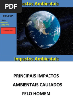 IMPACTOS AMBIENTAIS