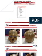 St. Luke's College Bones Lab