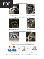 The Virus Survival (Raccoon) Song