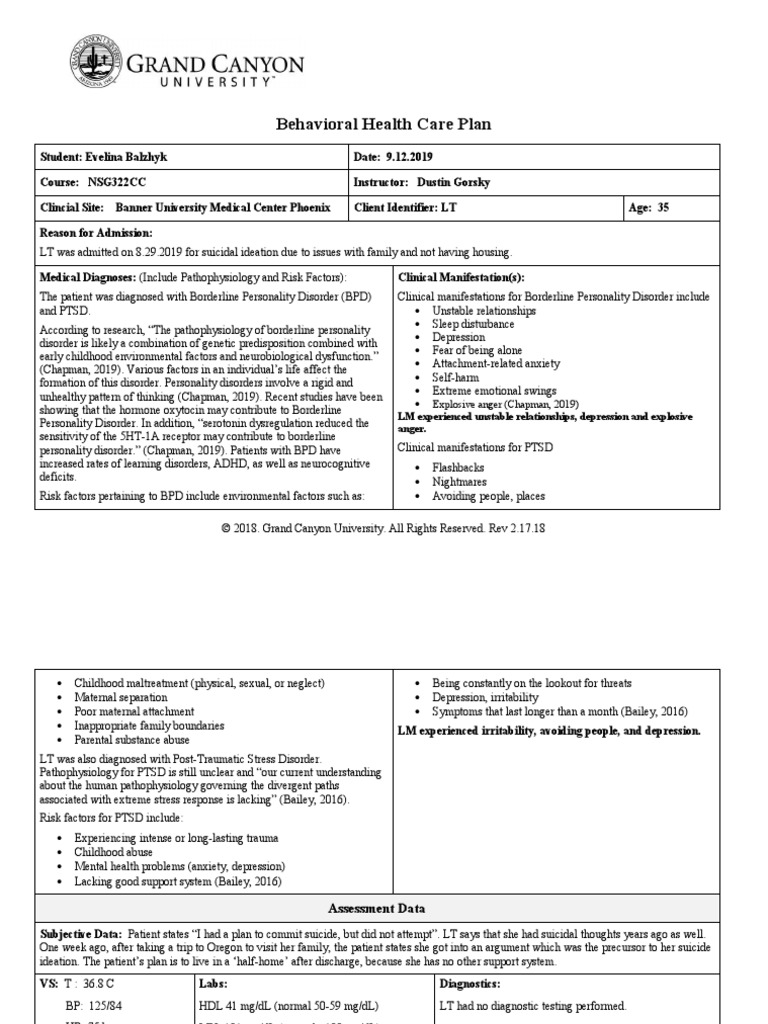 47-useful-behavior-plan-templates-bip-examples-templatelab