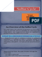 Sulfur Cycle - 1st Project
