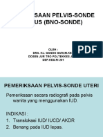 PELVIS-SONDE UTERI Gs